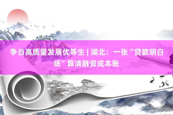 争当高质量发展优等生 | 湖北：一张“贷款明白纸”算清融资成本账