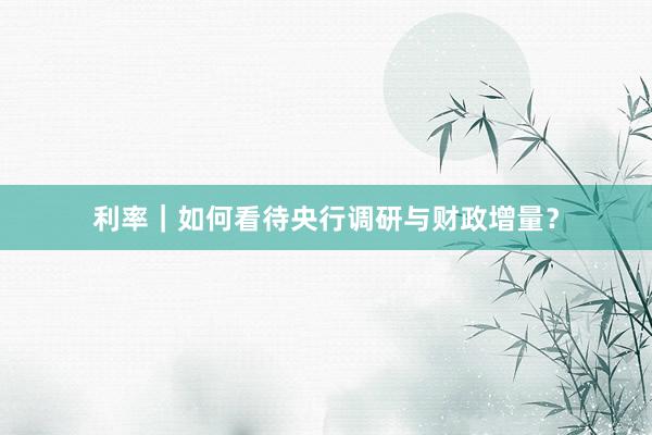 利率｜如何看待央行调研与财政增量？