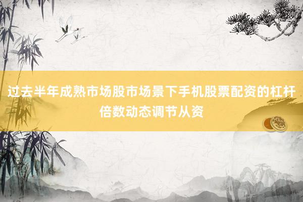 过去半年成熟市场股市场景下手机股票配资的杠杆倍数动态调节从资