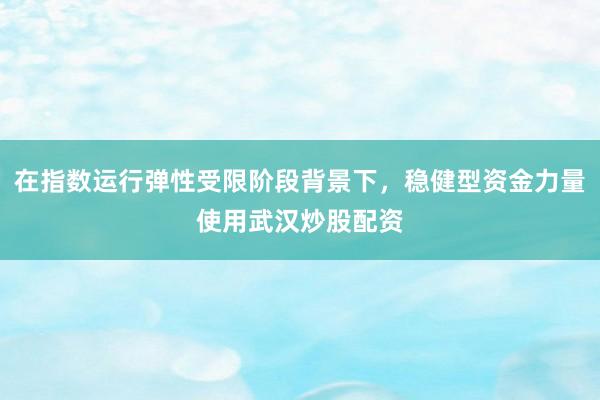 在指数运行弹性受限阶段背景下，稳健型资金力量使用武汉炒股配资