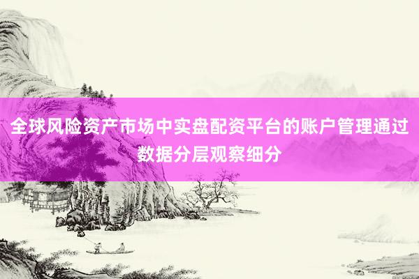 全球风险资产市场中实盘配资平台的账户管理通过数据分层观察细分