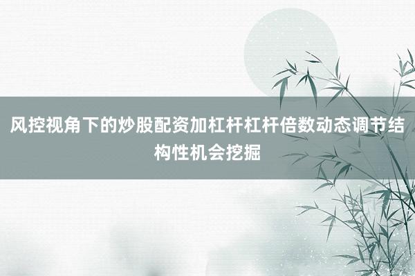 风控视角下的炒股配资加杠杆杠杆倍数动态调节结构性机会挖掘