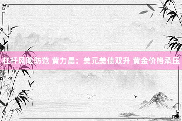 杠杆风险防范 黄力晨：美元美债双升 黄金价格承压
