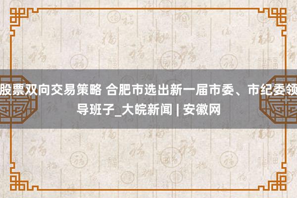 股票双向交易策略 合肥市选出新一届市委、市纪委领导班子_大皖新闻 | 安徽网