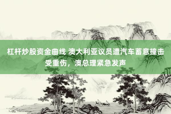 杠杆炒股资金曲线 澳大利亚议员遭汽车蓄意撞击受重伤，澳总理紧急发声