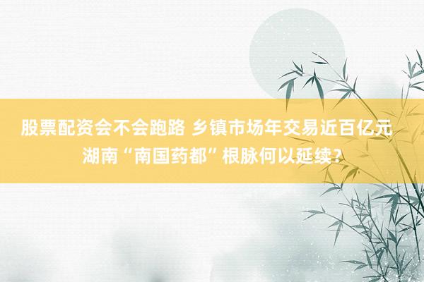 股票配资会不会跑路 乡镇市场年交易近百亿元  湖南“南国药都”根脉何以延续？